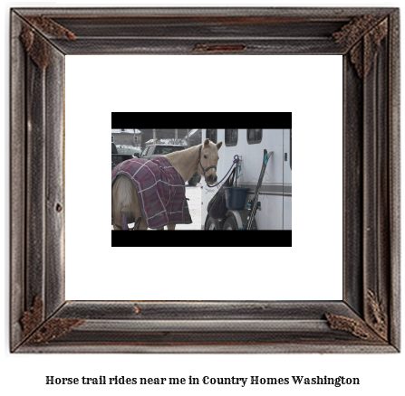 horse trail rides near me in Country Homes, Washington